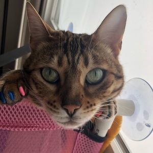 Meet your Posher, Stacy